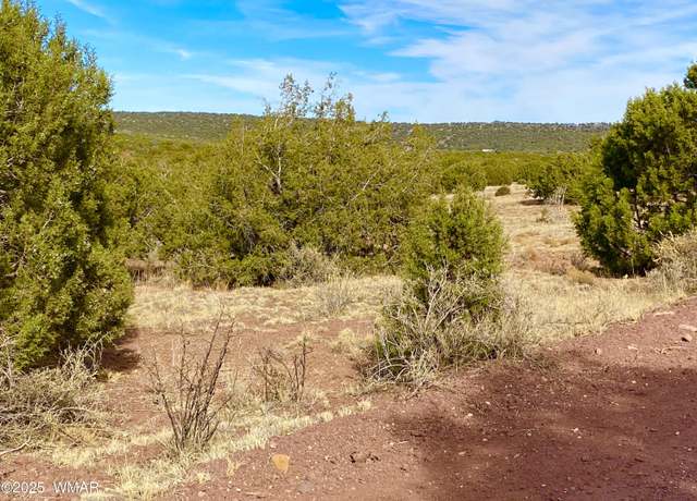 Property at TBD Co Rd 8269 Lots 150 & 151, Concho, AZ 85924