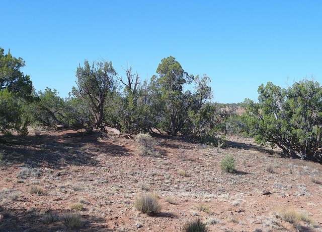 Property at TBD Wicked Sisters Way 38ac, Concho, AZ 85924