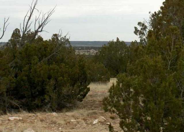Property at Lot 302 Chevelon Canyon Rnch, Heber, AZ 85928