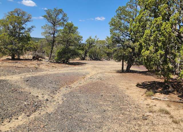 Property at 15 Co Rd 3041, Concho, AZ 85924