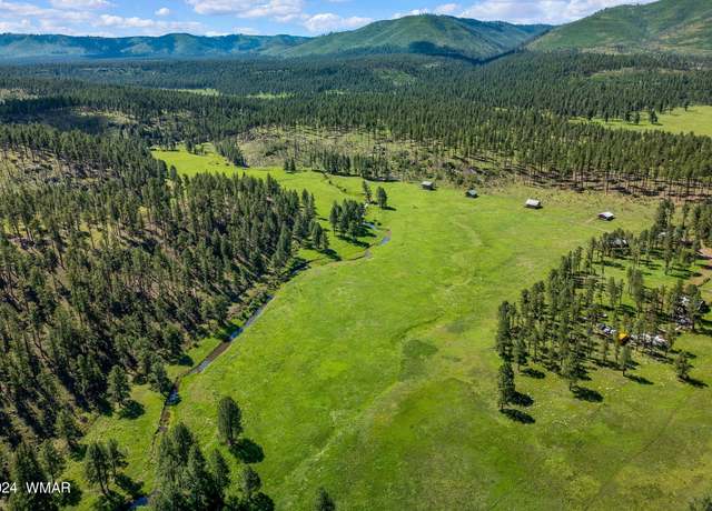 Property at 8523 WILTBANK Rd, Alpine, AZ 85920