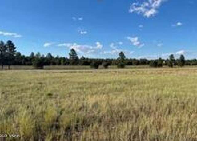 Property at TBD Quarter Horse Trl, Overgaard, AZ 85933