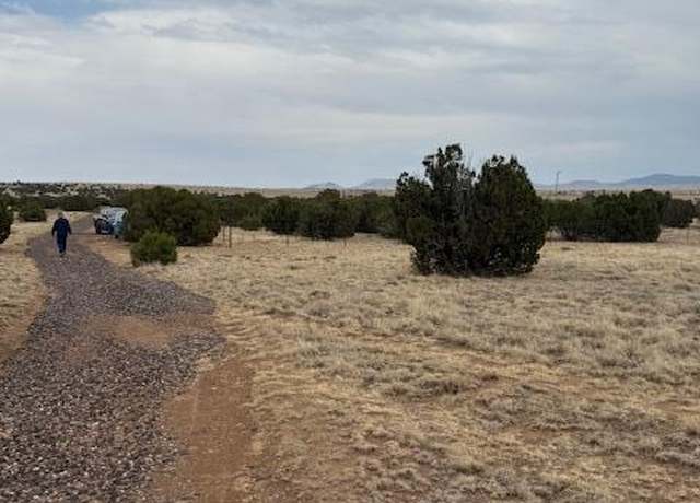 Property at 78 County Road 8010, Concho, AZ 85924