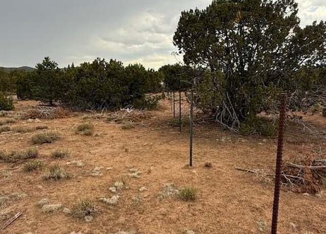 Property at 31 County Road 3044, Concho, AZ 85924