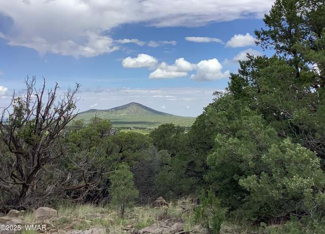 Property at 37 CR 3168, Vernon, AZ 85940