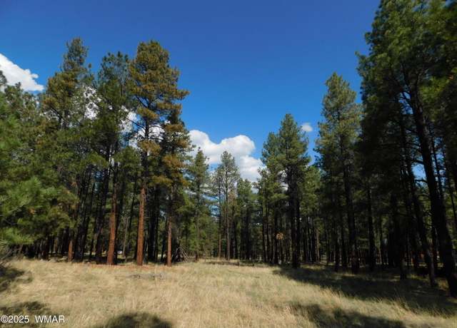 Property at UNK 1.17 AC UNK, Greer, AZ 85927