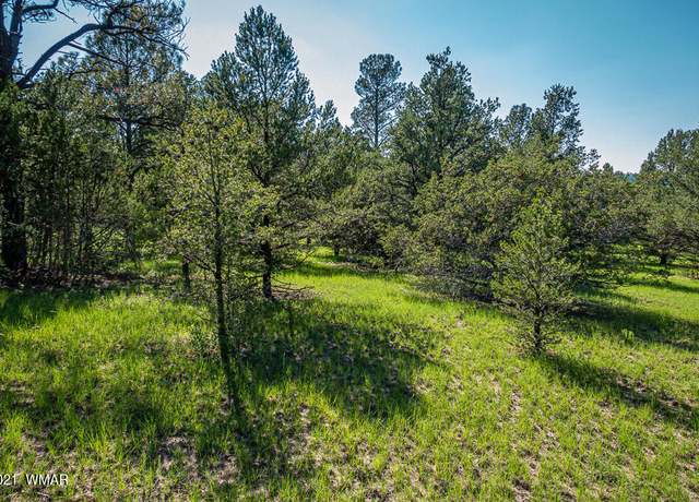 Property at 22 COUNTY RD. N2328 Unit TRACT A, MM 414, Nutrioso, AZ 85932