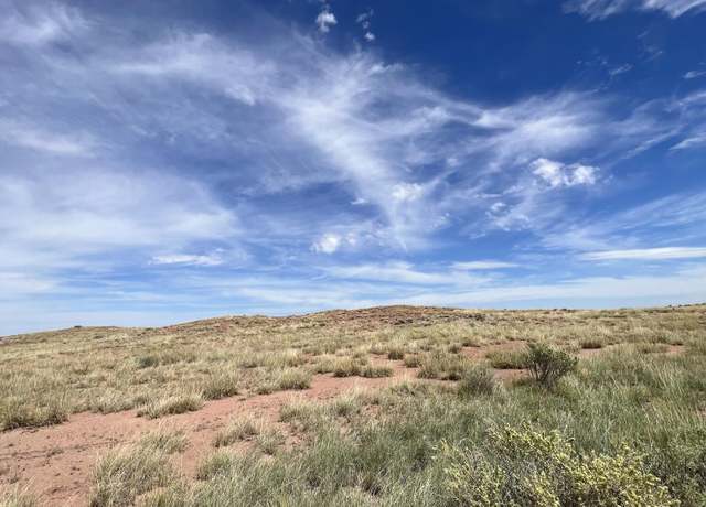 Property at 46 County Road 6019, St. Johns, AZ 85936