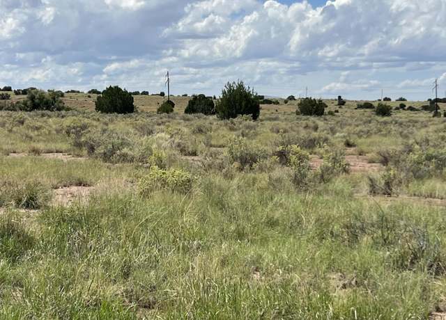 Property at 50 County Road 6019, St. Johns, AZ 85936