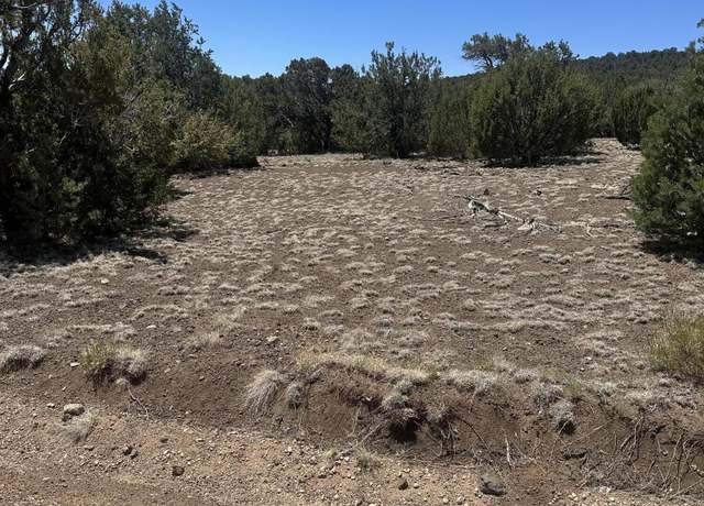 Property at 3 County Rd #3195, Vernon, AZ 85940