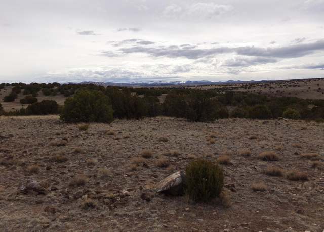 Property at 0 Concho Vly, Concho Valley, AZ 85924
