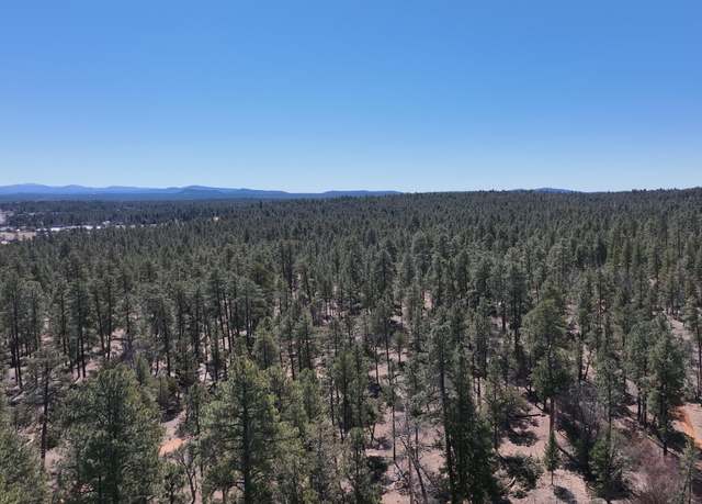 Property at 152 The Rim, Lakeside, AZ 85929