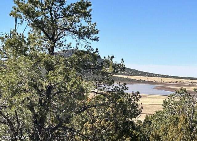 Property at lot 61 Stanford, Vernon, AZ 85940