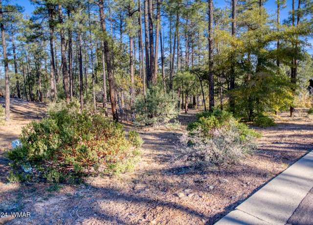 Property at 1825 S Pleasant View Dr, Show Low, AZ 85901