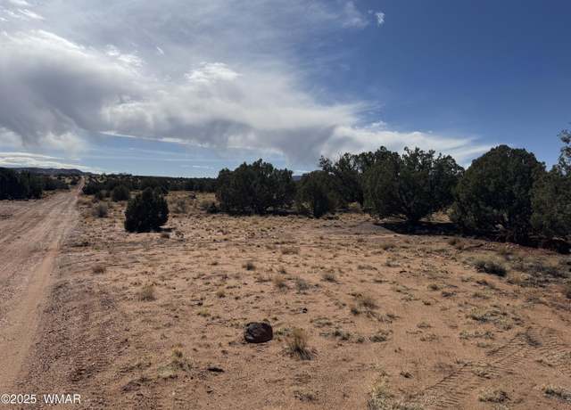 Property at 8546 County Rd, Concho, AZ 85924