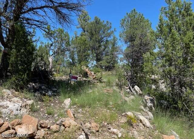 Property at 2252 Mulligan Dr, Overgaard, AZ 85933