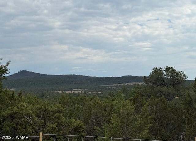 Property at TBD CR 3076-D, Vernon, AZ 85940