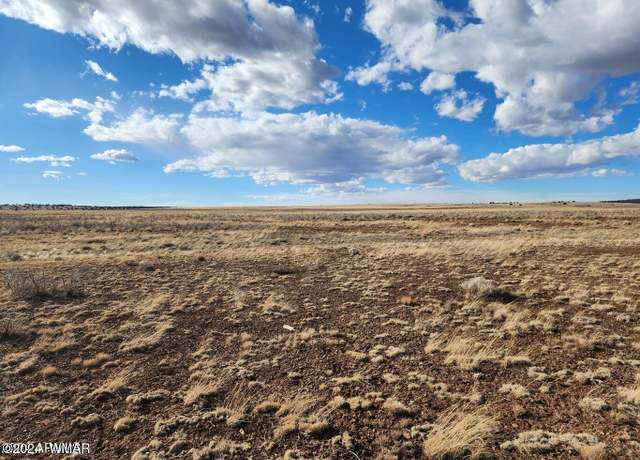 Property at 000 N3494, Concho, AZ 85924