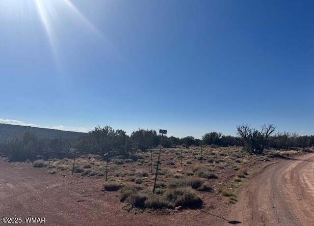 Property at 36 County Road N8487, Concho, AZ 85924