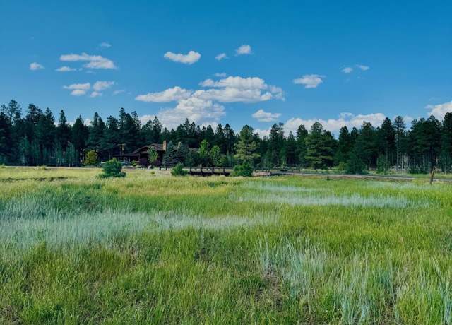 Property at 9580 Sierra Springs Dr, Pinetop, AZ 85935