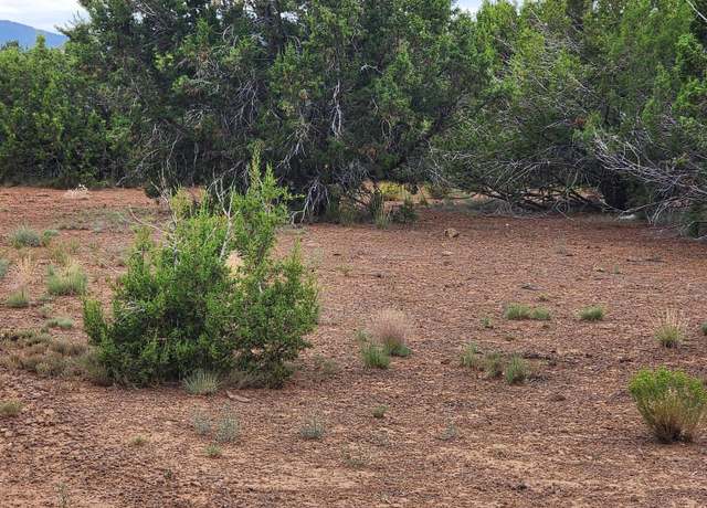 Property at Lot 4 CR 3551, Vernon, AZ 85940