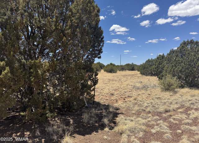 Property at 8513 Ossendorf Pl, Show Low, AZ 85901