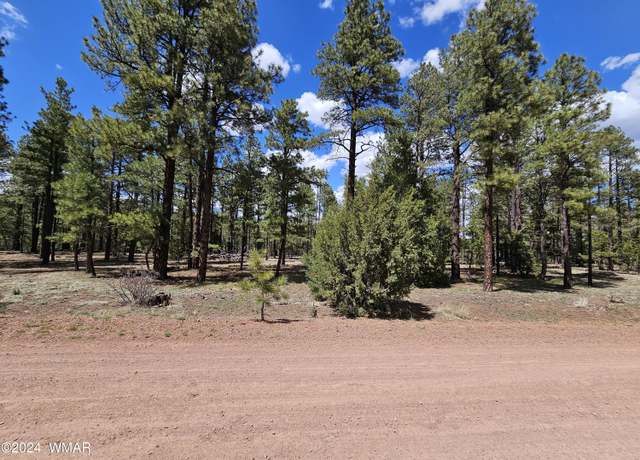 Property at Lot 77 County Road 2223, Nutrioso, AZ 85932