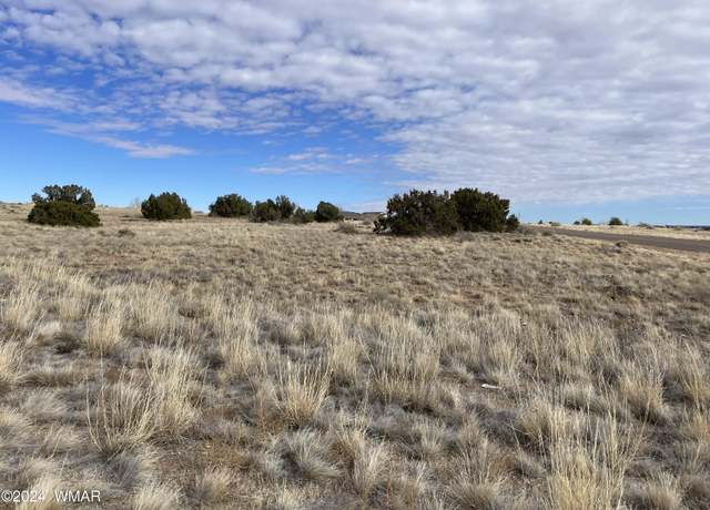 Property at TBD Indian Village Rd, Taylor, AZ 85939