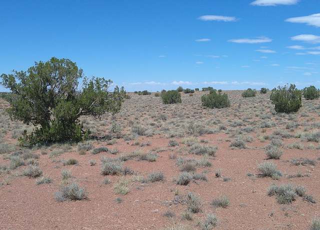 Property at 5127 Windmill Ln, Snowflake, AZ 85937