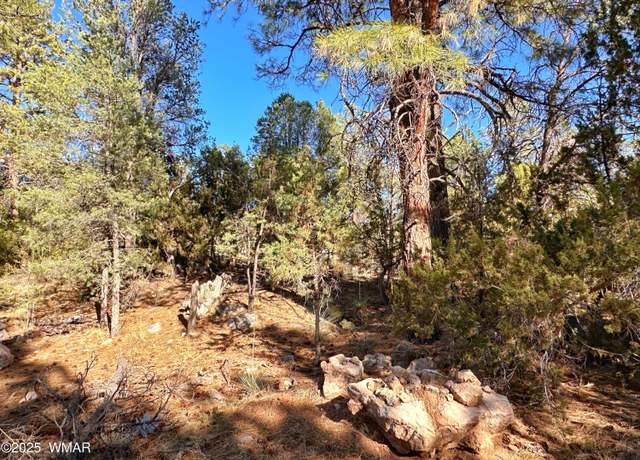 Property at 3377 Mogollon Dr, Overgaard, AZ 85933