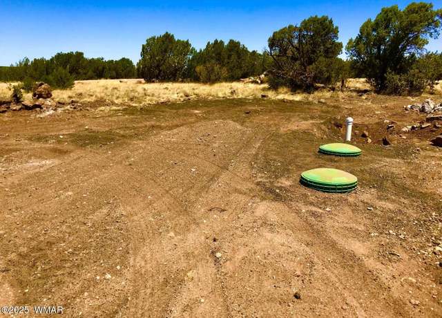 Property at 8486 Cannon Blvd, Show Low, AZ 85901