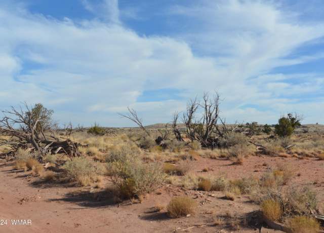 Property at 8272 Charolais Trl, Snowflake, AZ 85937