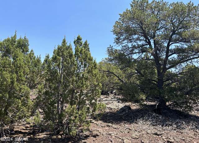 Property at Lot 75 N Dolly (8141) Dr, Vernon, AZ 85940
