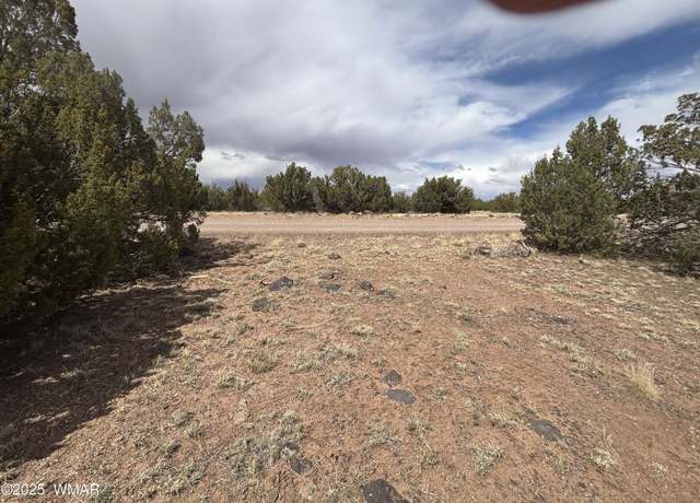 Property at 8659 CORONADO Dr, Show Low, AZ 85901