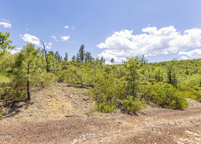 Property at TBD Fieldy Road 14.03 Acres, Show Low, AZ 85901