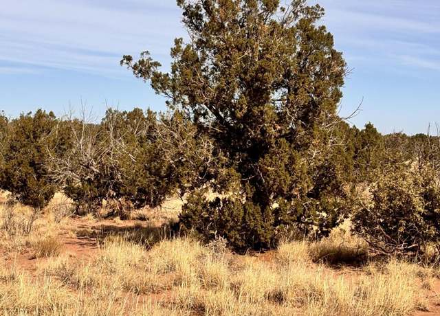 Property at 8581 SE Lawson LN Ln, Snowflake, AZ 85937