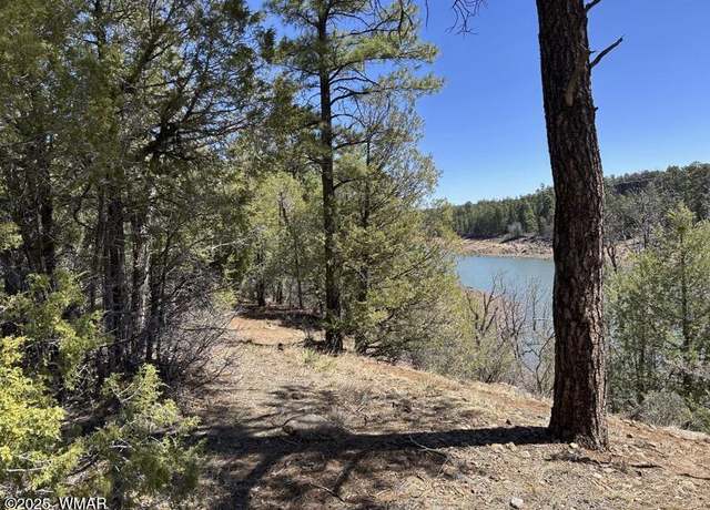 Property at TBD Show Low Lake Rd, Show Low, AZ 85901