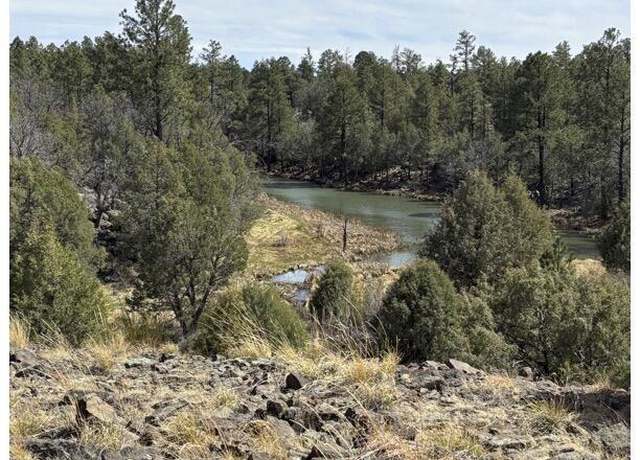 Property at TBD Show Low Lake area, Show Low, AZ 85901