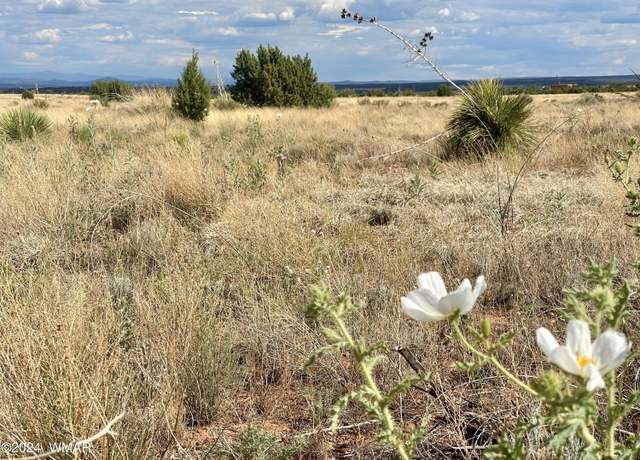 Property at 5494 Glasglow Dr, Snowflake, AZ 85937