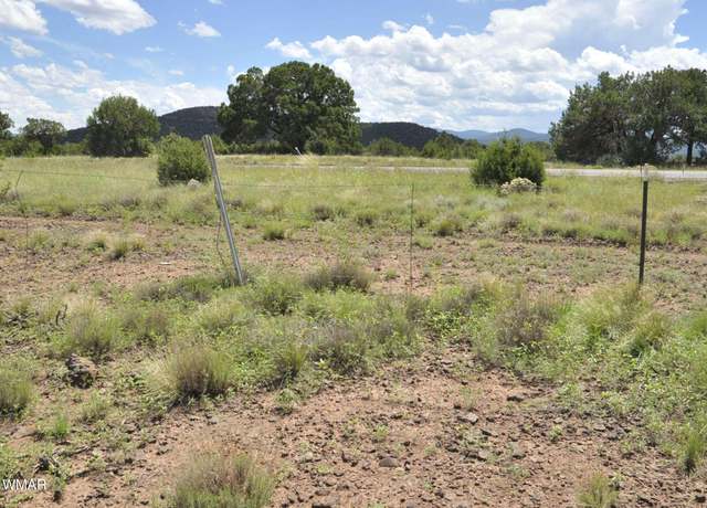 Property at 35467 Hwy 61, Vernon, AZ 85940