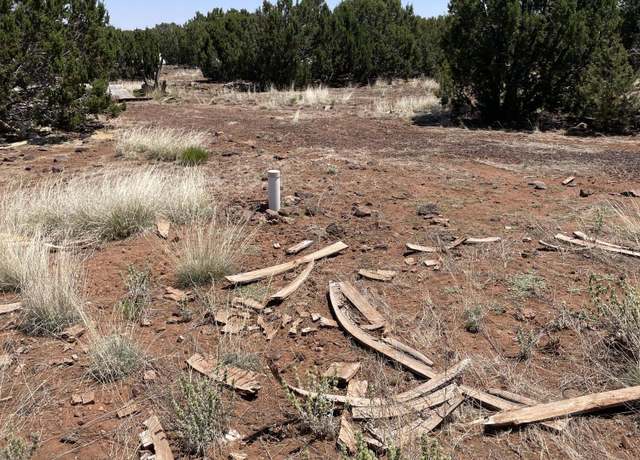 Property at 73 California Ave, Concho, AZ 85924