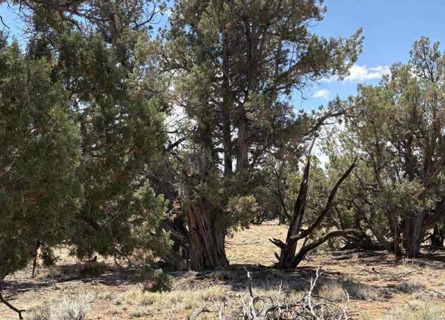 Property at 57 Co Rd 7209, St. Johns, AZ 85936
