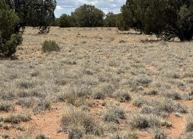 Property at 64 Co Rd 7209, St. Johns, AZ 85936