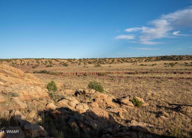 Property at 137 ACR 8461, Concho, AZ 85924