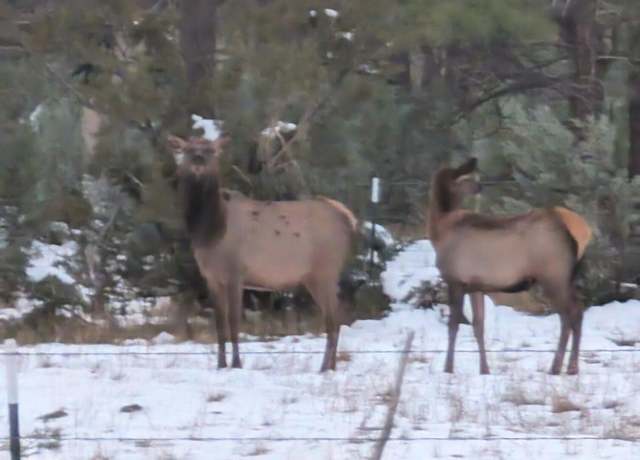 Property at TBD Dynamite, Lakeside, AZ 85929