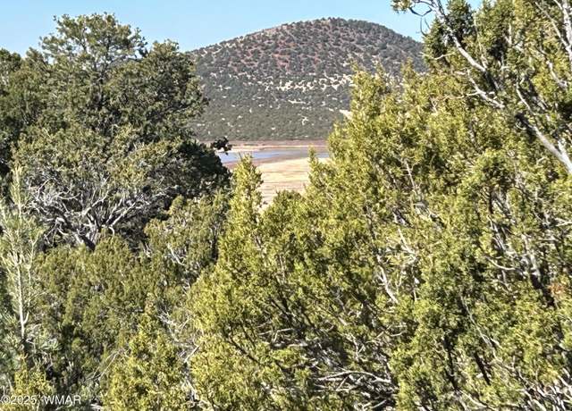 Property at lot 79 Ranch Rd, Vernon, AZ 85940
