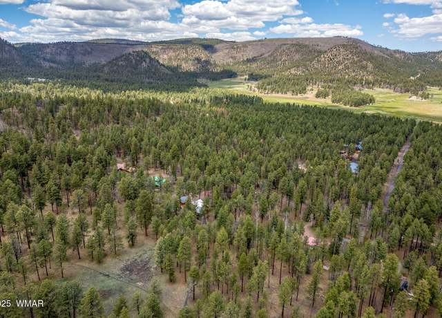 Property at 14 Colorados Ln #2050, Alpine, AZ 85920