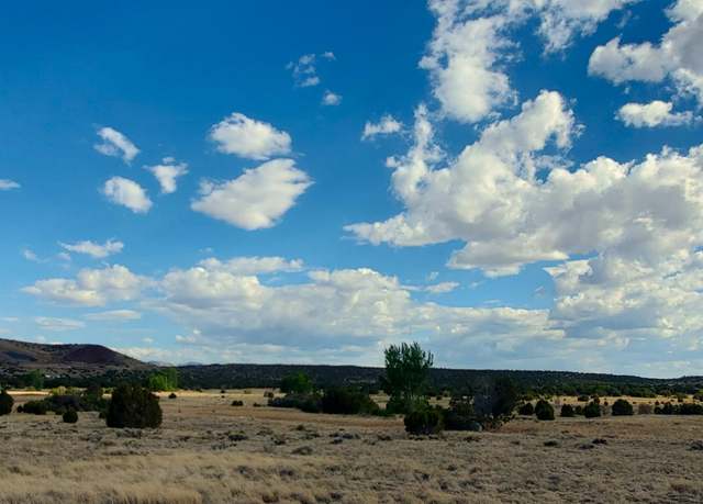 Property at 1 County Road 5088, Concho, AZ 85924