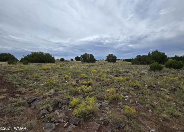 Property at TBD CR 5151, Concho, AZ 85924