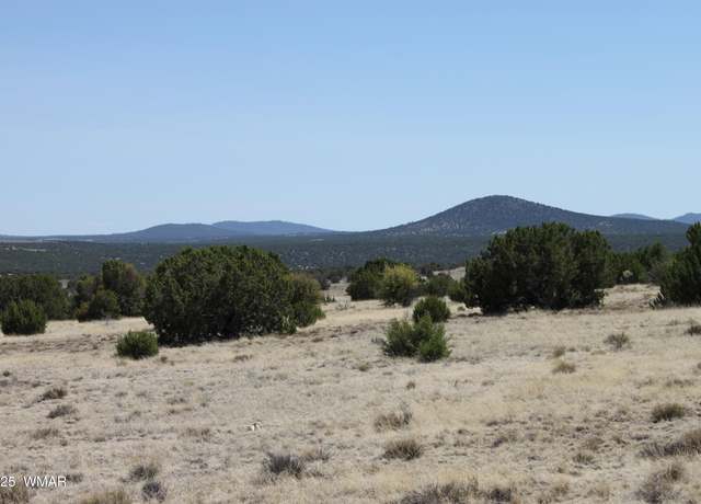 Property at 36 County Road 8249, Concho, AZ 85924